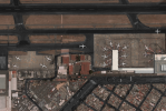 Estudios de Subsistencia en Zonas Urbanas